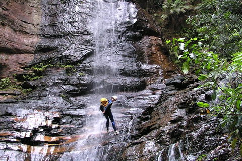 Full-Day Canyoning Experience At Stunning Empress Canyon - QLD Tourism 0