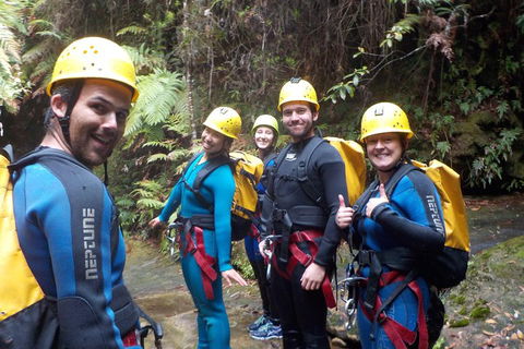 Full-Day Canyoning Experience At Stunning Empress Canyon - QLD Tourism 1