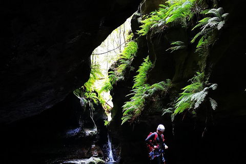 Full-Day Canyoning Experience At Stunning Empress Canyon - QLD Tourism 2