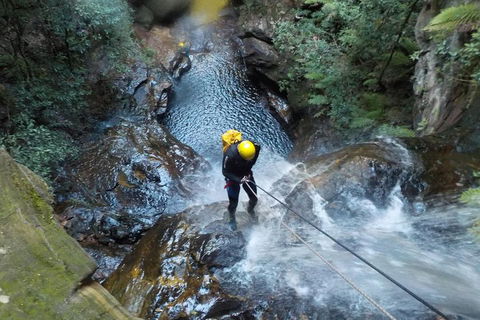 Full-Day Canyoning Experience At Stunning Empress Canyon - QLD Tourism 4