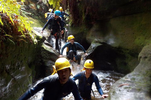 Full-Day Canyoning Experience At Stunning Empress Canyon - QLD Tourism 5