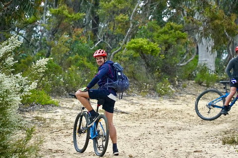 Blue Mountains Hanging Rock SELF-GUIDED Mountain Bike Hire Service - QLD Tourism 4