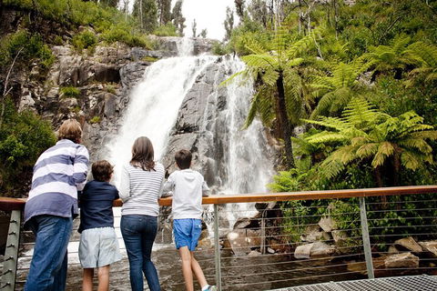 Lake Mountain Snow Trip Including Yarra Valley Chocolaterie From Melbourne - QLD Tourism 0
