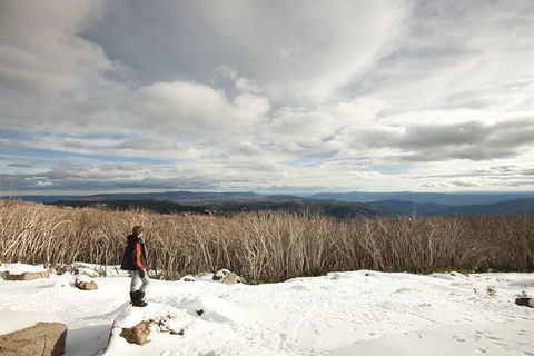 Lake Mountain Snow Trip Including Yarra Valley Chocolaterie From Melbourne - QLD Tourism 5