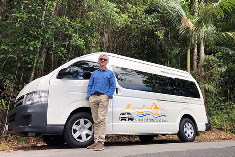 Sunshine Coast Hinterland Rainforest, Views And Montville Day Tour Inc. Lunch - QLD Tourism 1