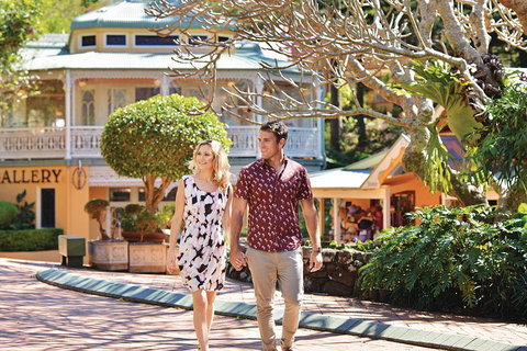 Sunshine Coast Hinterland Rainforest, Views And Montville Day Tour Inc. Lunch - QLD Tourism 4