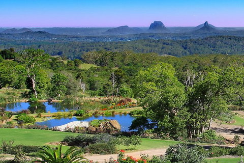 Sunshine Coast Hinterland Rainforest, Views And Montville Day Tour Inc. Lunch - QLD Tourism 5