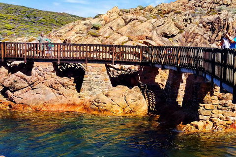 Margaret River (Private) Day Tour - QLD Tourism 3