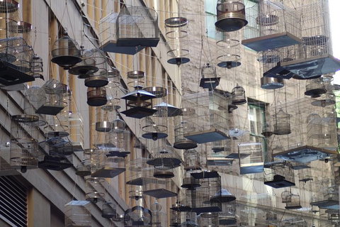 Sydney Scavenger Hunt: Inside Sydney - QLD Tourism 0