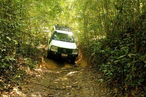 Barron Gorge And Kuranda National Park Half Day Rainforest And Waterfall 4WD Tour From Cairns - QLD Tourism 2