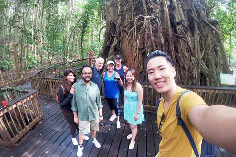 Barron Gorge And Kuranda National Park Half Day Rainforest And Waterfall 4WD Tour From Cairns - QLD Tourism 5