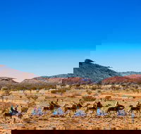 Alice Springs Camel Tour - QLD Tourism