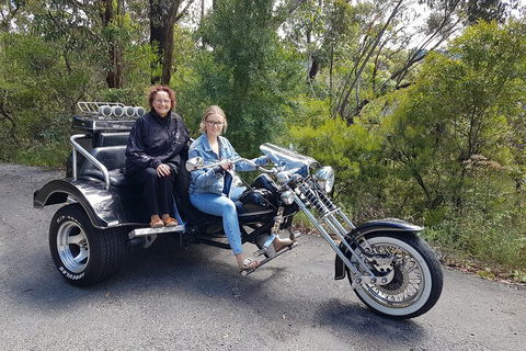 Blue Mountains 1-Hour Trike Tour Of Three Sisters - Queensland Tourism 1