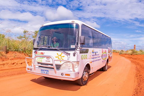 3 In 1 Tour: Matsoâ€™s Brewery, Broome Museum & Malcolm Douglas Crocodile Park - Queensland Tourism 2