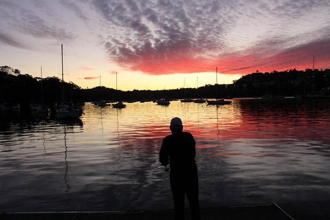 Sydney Harbour, Northern Beaches And National Park - QLD Tourism 1