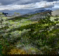 3-Day Tour to the Falls Mountains Lake  More of West Coast Tasmania - QLD Tourism
