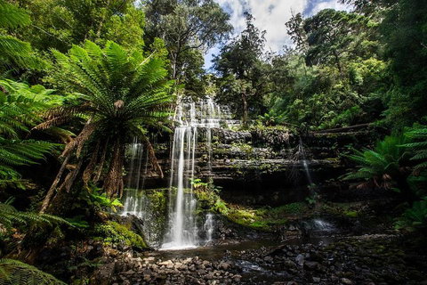 3-Day Tour To The Falls, Mountains, Lake & More Of West Coast Tasmania - QLD Tourism 4