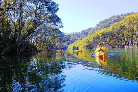 Half-Day Sydney Middle Harbour Guided Kayaking Eco Tour - Queensland Tourism 1
