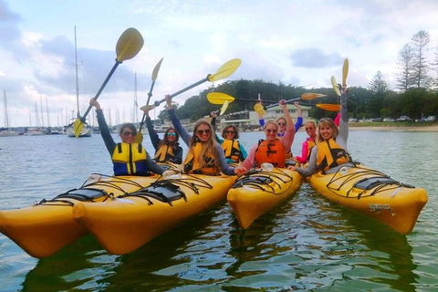 Half-Day Sydney Middle Harbour Guided Kayaking Eco Tour - Queensland Tourism 2