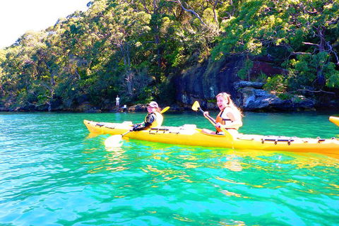 Half-Day Sydney Middle Harbour Guided Kayaking Eco Tour - Queensland Tourism 4