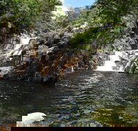 Behana Canyon Rainforest and Waterfall Experience - QLD Tourism