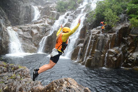 Behana Canyon Rainforest And Waterfall Experience - QLD Tourism 3