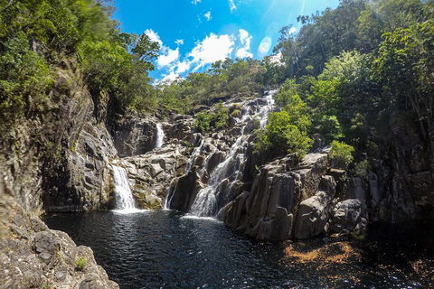 Behana Canyon Rainforest And Waterfall Experience - QLD Tourism 5