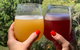 Hipster Sipster Brewery And Distillery Tour - thumb 3