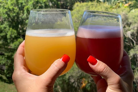 Hipster Sipster Brewery And Distillery Tour - QLD Tourism 3