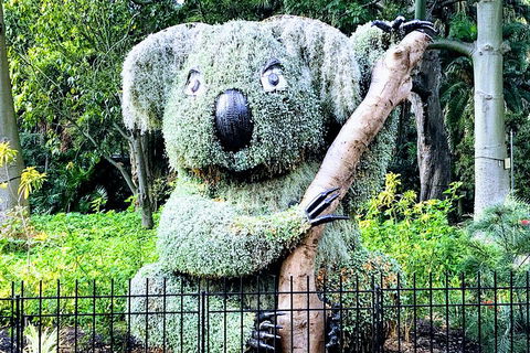 Discover Sydney - Botanic - QLD Tourism 1