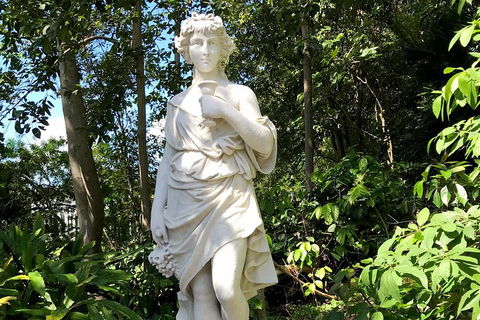 Discover Sydney - Botanic - QLD Tourism 2