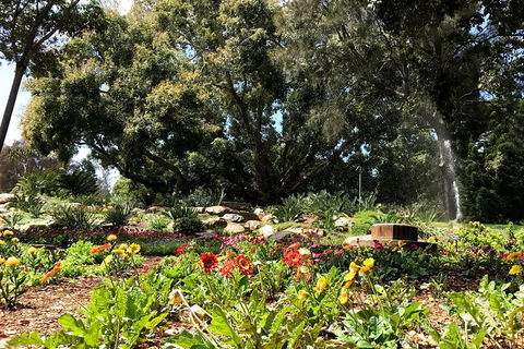 Discover Sydney - Botanic - QLD Tourism 3