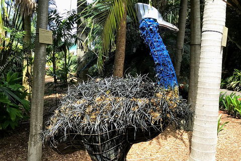 Discover Sydney - Botanic - QLD Tourism 5