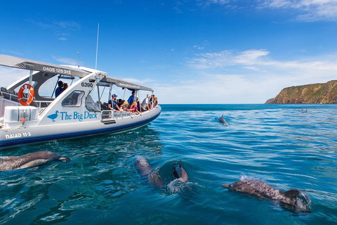 Victor Harbor And McLaren Vale Wine Region Day Tour - Queensland Tourism 1
