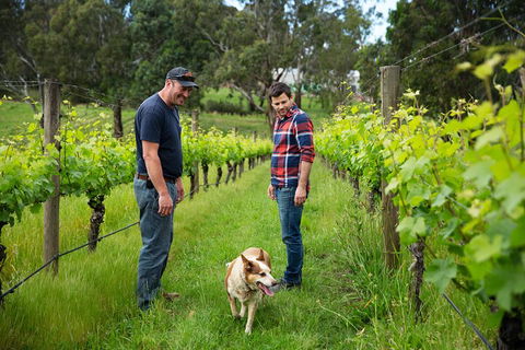 LGBT+ Friendly Full Day Yarra Valley & Dandenong Ranges Private Tour - QLD Tourism 4