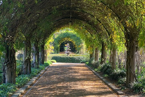 LGBT+ Friendly Full Day Yarra Valley & Dandenong Ranges Private Tour - QLD Tourism 5