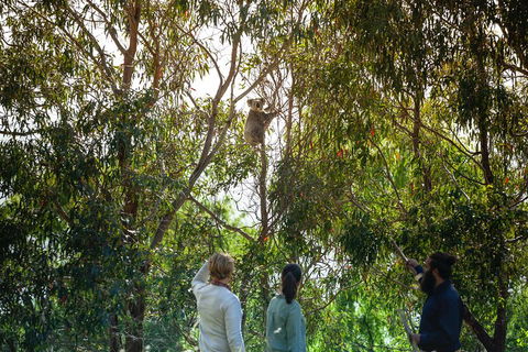 LGBT+ Friendly 3 Day Tour The Grampians, Daylesford & Ballarat - QLD Tourism 4