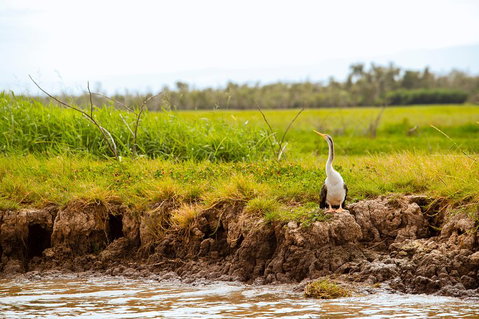 Darwin City Sights And Jumping Crocodile Cruise - QLD Tourism 2