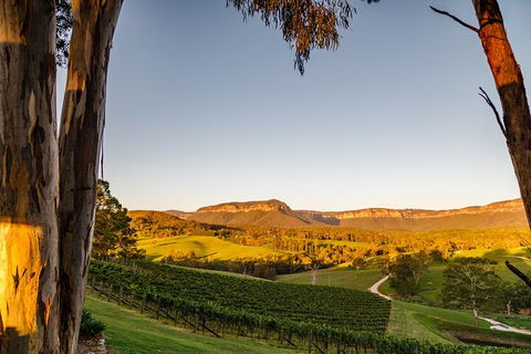 Taste Of The Blue Mountains - Lunch & Wine Tasting, Beer, Cider & Gin Tasting - Queensland Tourism 1