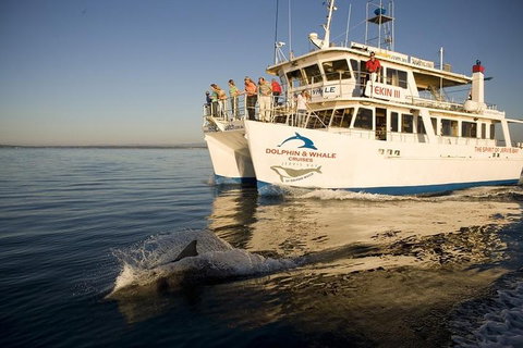 Jervis Bay Dolphin Watch Cruise - QLD Tourism 3