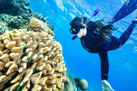 Green Island Day Trip From Cairns - Queensland Tourism 1