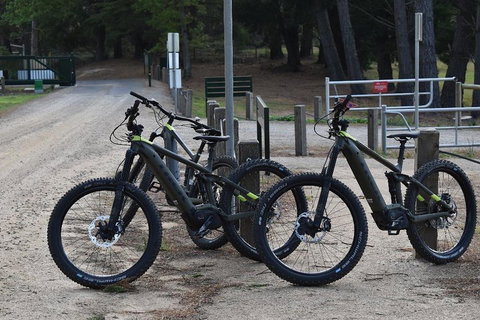 Fully Guided E-Mountain Bike Tour On The Beautiful Mornington Peninsula. - Queensland Tourism 2