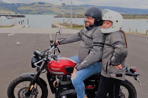 Triumph Street Scrambler 900cc - QLD Tourism 1