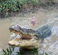 Top End Waterfalls and Wetlands - QLD Tourism