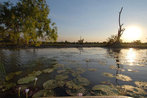 Top End Waterfalls And Wetlands - QLD Tourism 4