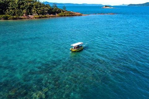 Airlie Beach Glass Bottom Boat Tour - QLD Tourism 4