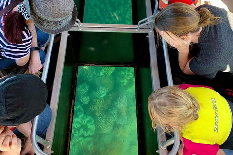 Airlie Beach Glass Bottom Boat Tour - QLD Tourism 5