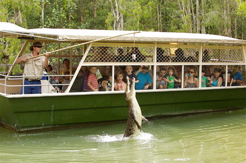 Hartley's Crocodile Adventure Half-Day Tour - Queensland Tourism 0