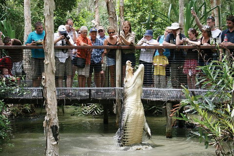 Hartley's Crocodile Adventure Half-Day Tour - Queensland Tourism 1