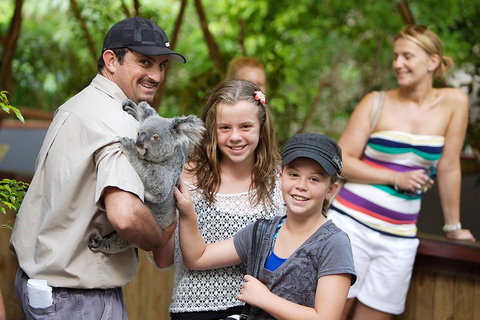 Hartley's Crocodile Adventure Half-Day Tour - Queensland Tourism 3